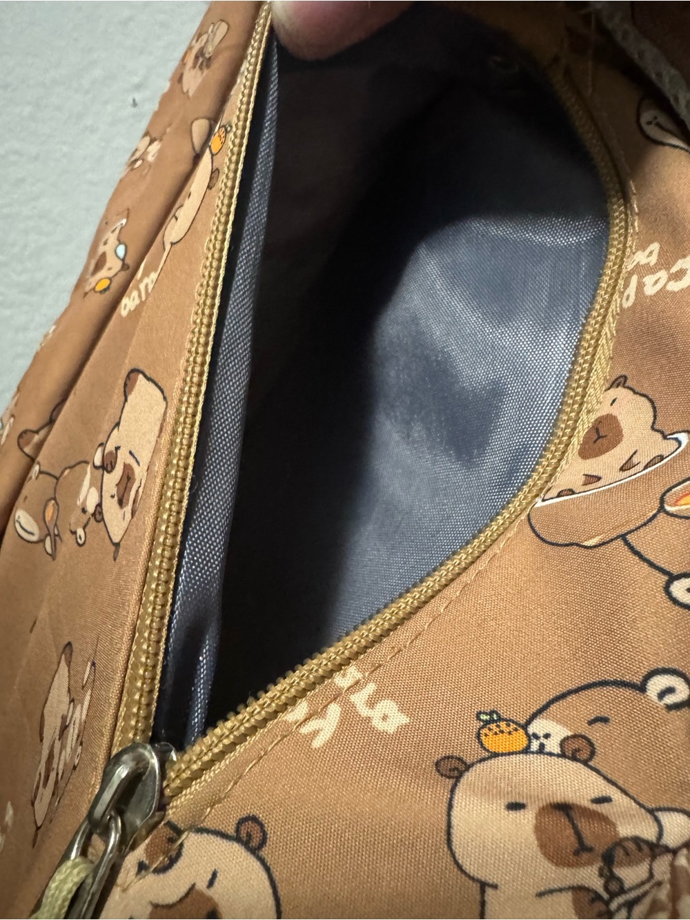 Capybara Brown Cartoon Backpack - Picture 5 of 9